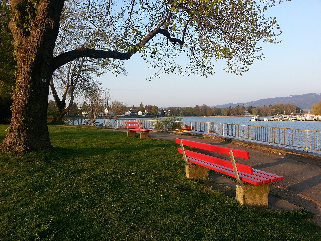 WTA最新排名公布，郑钦文损失巨分下滑至世界第8.