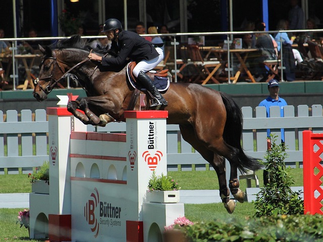 杨皓宇最高上限能成为申花兰帕德吗 毕竟他压制5个国脚上不了场.