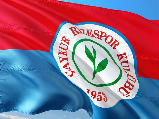 冰雪项目竞赛表演产业，下一步如何发展？.